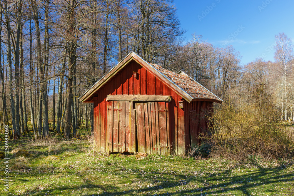Fototapeta premium Red wooden shed in a woodland