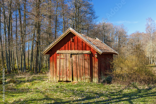 Tablou canvas Red wooden shed in a woodland