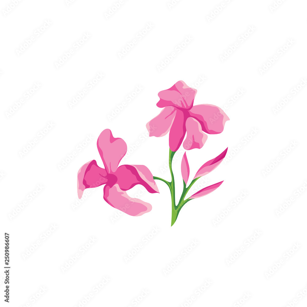 set of beautiful flowers and leafs invitation card set of beautiful flowers and leafs invitation card