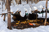 Animals feeder in winter forest.