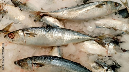 Saba fish at fresh supermarket 
