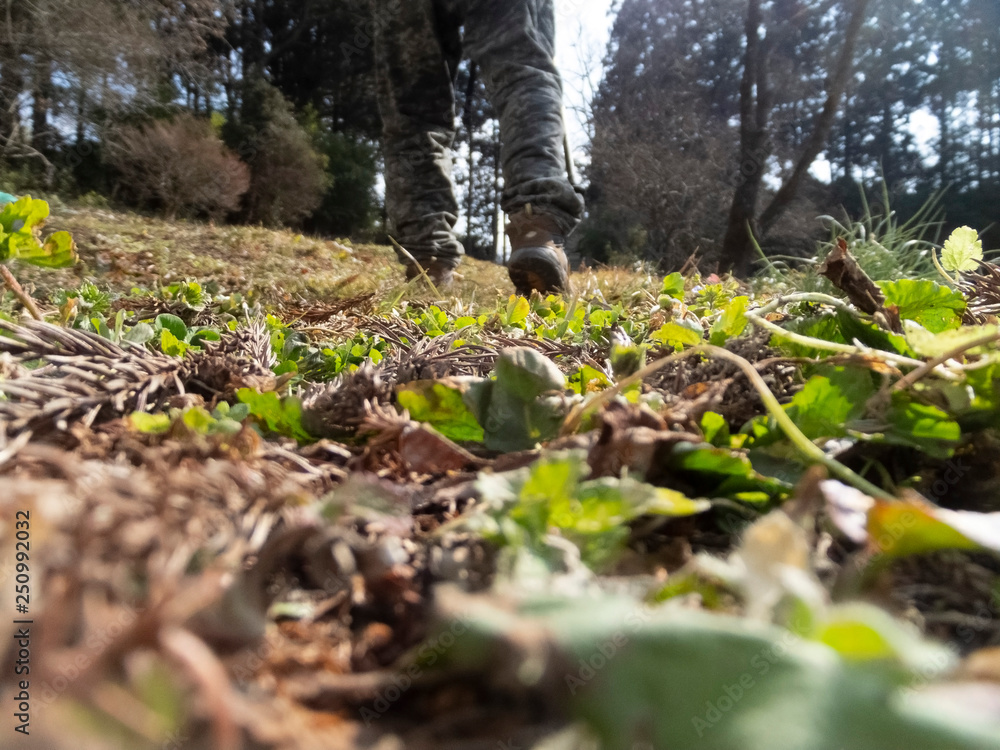 Obraz premium ウォーキング・健康