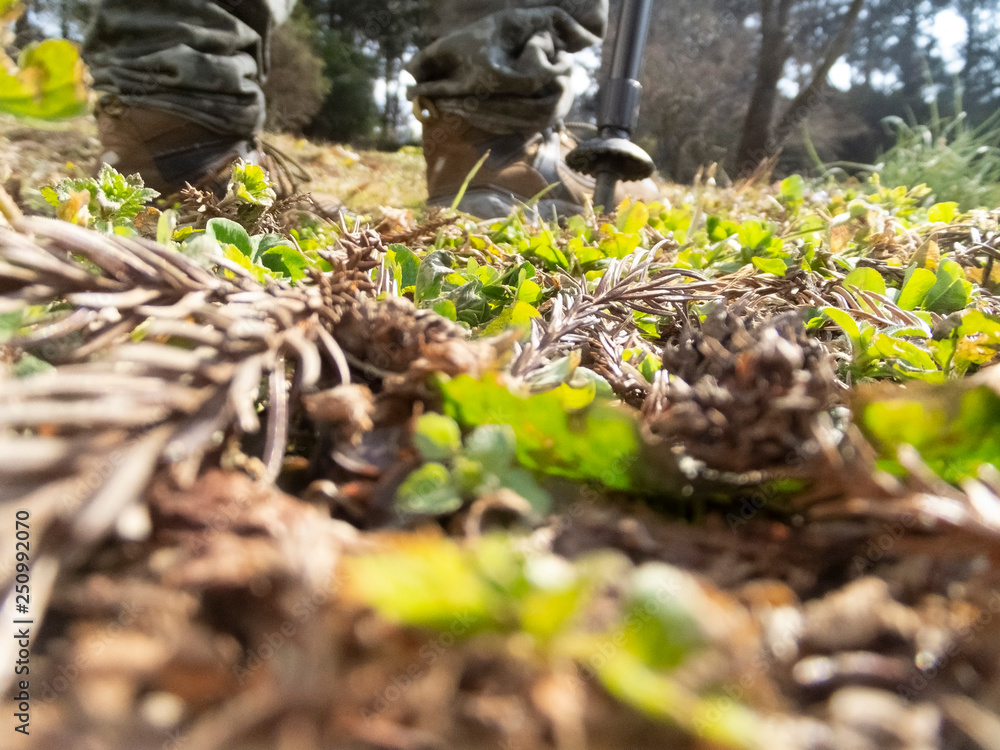 Obraz premium 行楽・ウォーキング