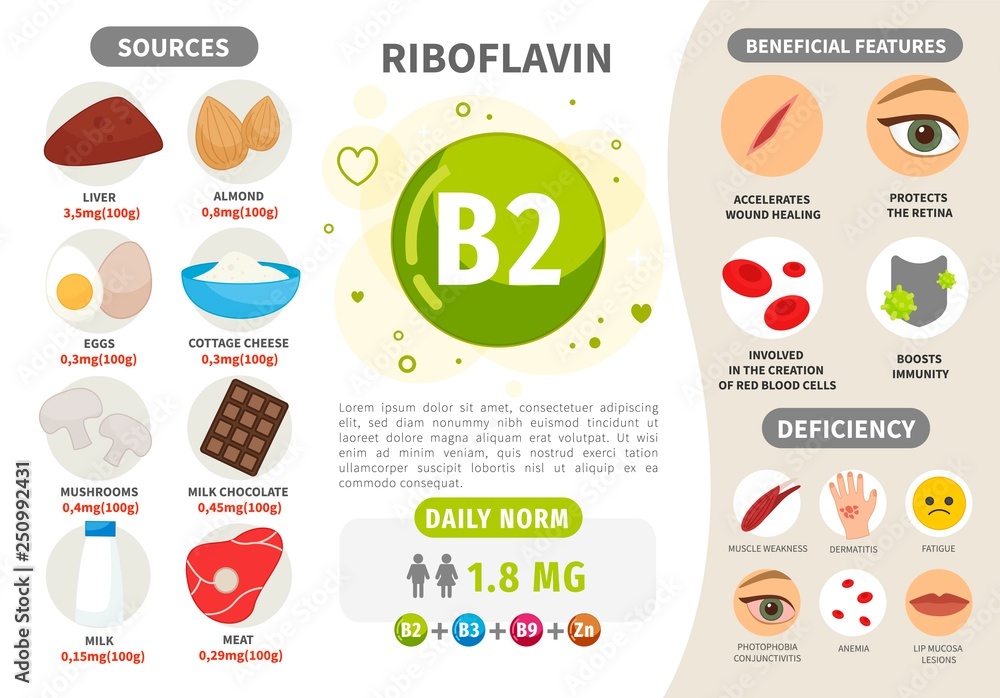 Infographics Vitamin B2. Products containing vitamin. Daily norm