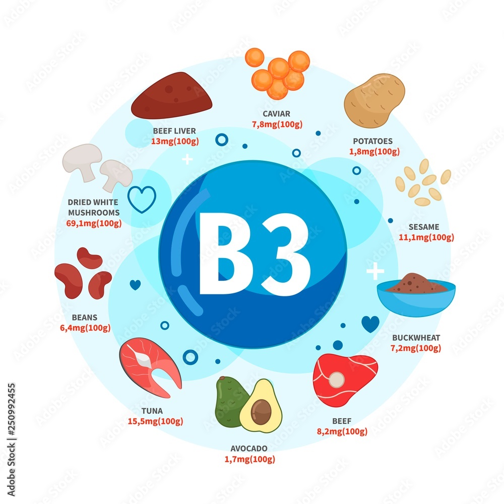 Vector poster products with vitamin B3. Cartoon illustrations of