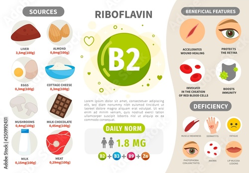 Infographics Vitamin B2. Products containing vitamin. Daily norm. Symptoms of deficiency. Vector medical poster.