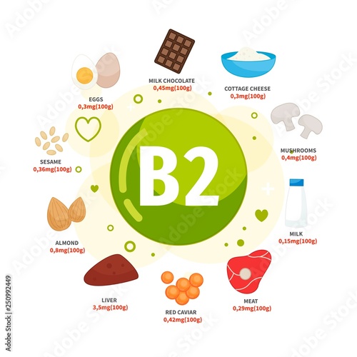 Vector poster products with vitamin B2. Cartoon illustrations of products.