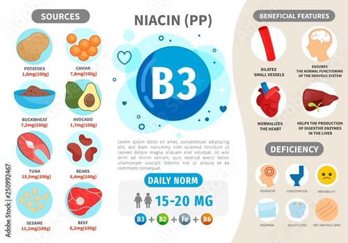 Infographics Vitamin B3. Products containing vitamin. Daily norm. Symptoms of deficiency. Vector medical poster.