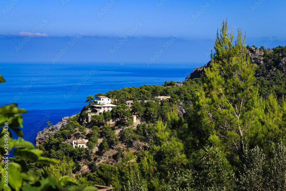a top view over the tops of forest trees on the calm sea blue waters and horizon
