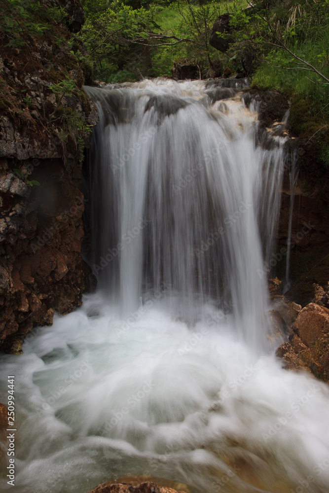 Fototapeta premium landscape forest in trentino with dolomiti mountain