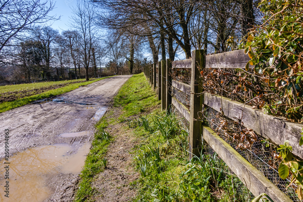 Fototapeta premium spring day after rain, muddy country road along the old park with wooden fence on the right, puddles and tire imprints on the road