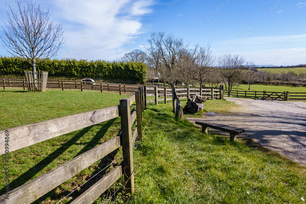 empty gravel road through the park on a sunny spring day; on the left side there is a green yard that is made of wood