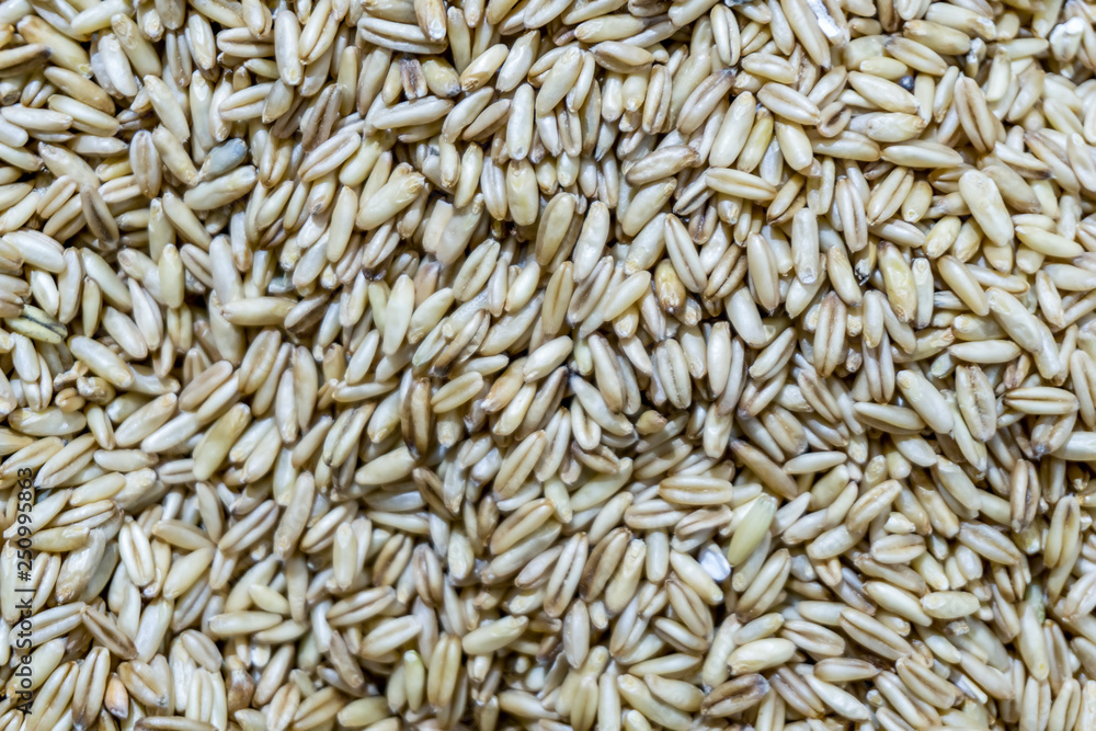 Grains and grains.. Grains and grains..