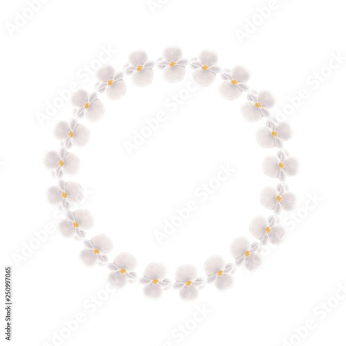 Watercolor white wax begonia wreath isolated on a blank background