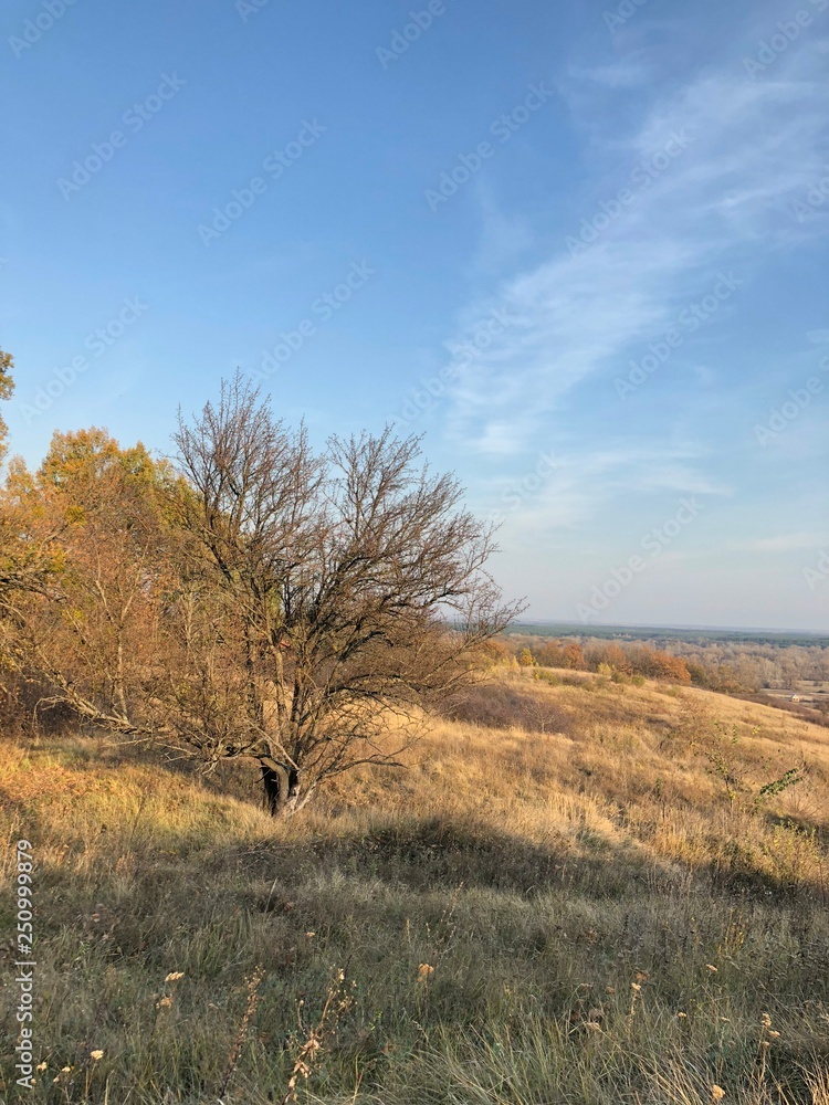 Fototapeta premium Autumn