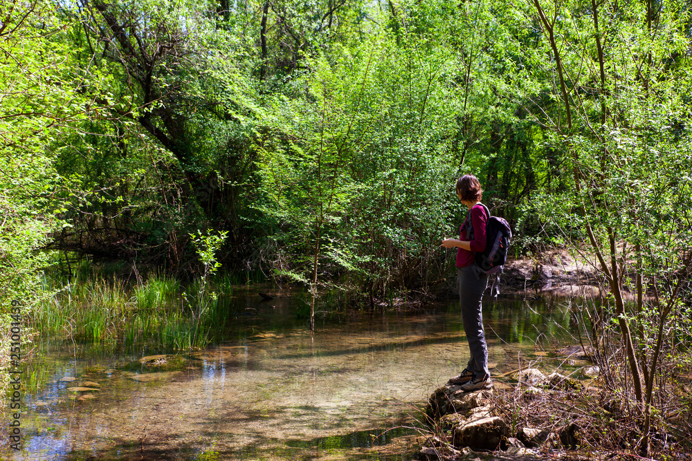 Fototapeta premium Karst submerged river, Doberdò lake