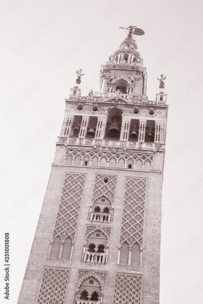 Fototapeta premium Deyail Cathedral Tower; Seville; Spain