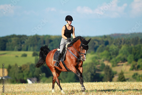 Young horse woman rides young horse on a harvested field in various gaits. photo