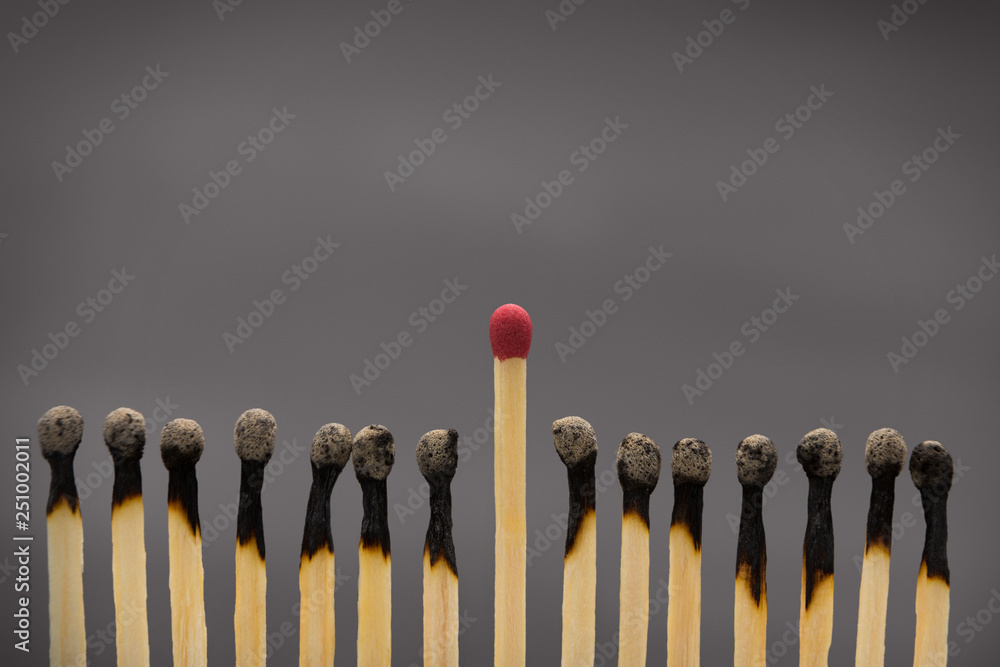 Group of burnt matches with one unused matchstick Group of burnt matches with one unused matchstick