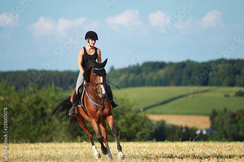 Foto Young horse woman rides young horse on a harvested field in various gaits