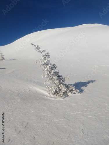 Winterlandschaft