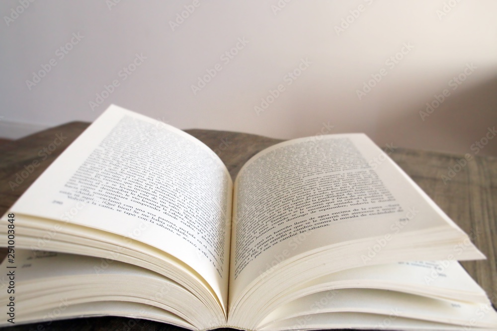 Placeres de la vida. Tiempo para descansar. Leyendo un libro en casa. Placeres de la vida. Tiempo para descansar. Leyendo un libro en casa.