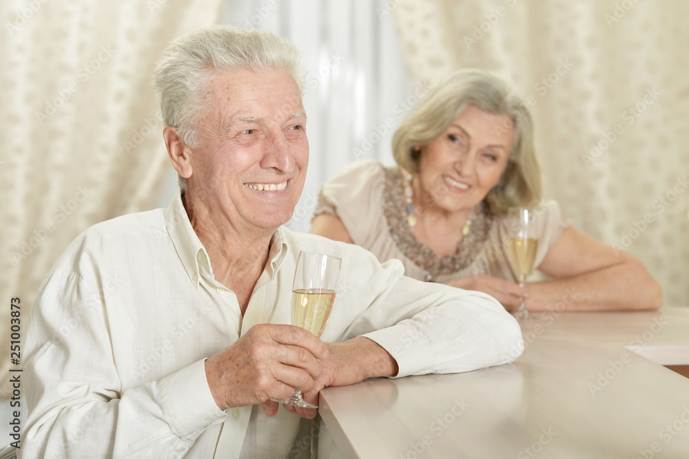 Portrait of happy senior couple resting at home Portrait of happy senior couple resting at home
