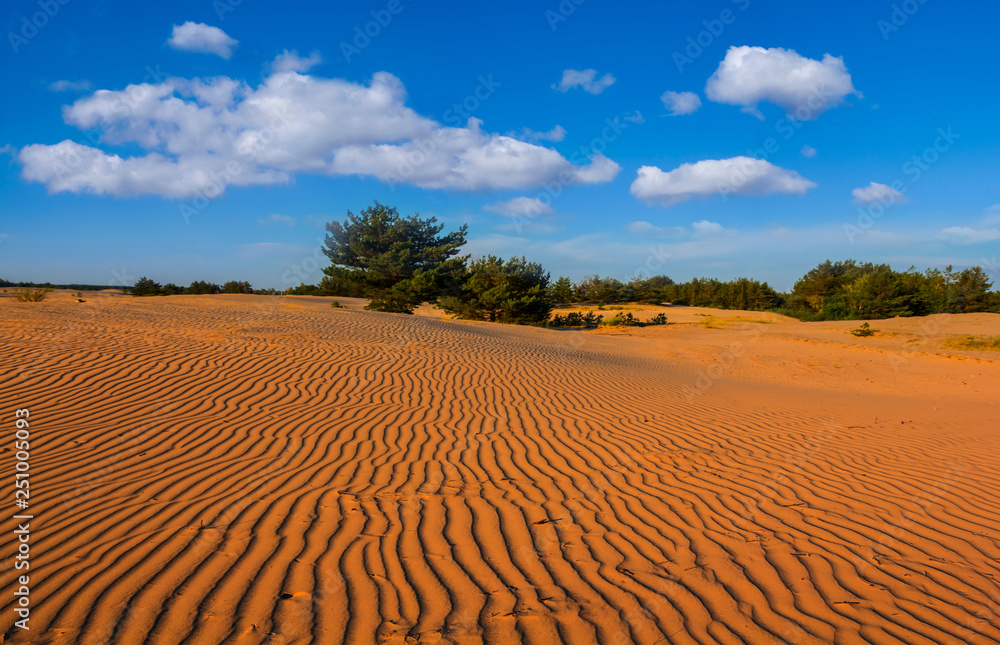 summer sandy desert under a cloudy sky summer sandy desert under a cloudy sky