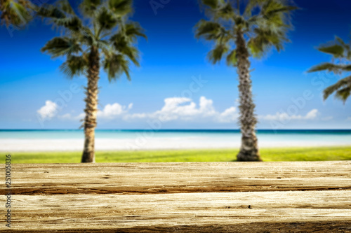 Wooden table of free space for your product. Summer landscape of sea. Two coco palms and green grass. Summer time on Madagascar  Zanzibar  Seychelles  Cuba  Thailand  the Caribbean  or other tropical 