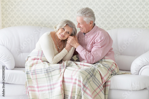 Portrait of happy senior couple resting and posing at home