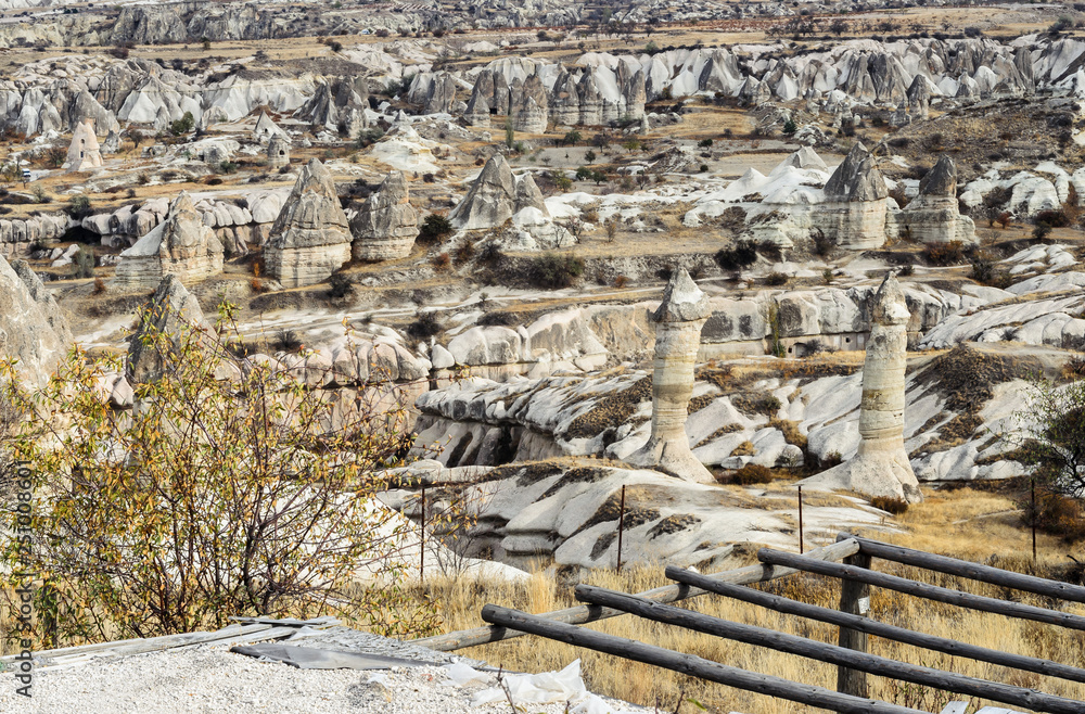 Fototapeta premium The volcanic landscape of valley with natural rock formations known as fairy chimneys, located near Goreme town, Cappadocia region of Turkey