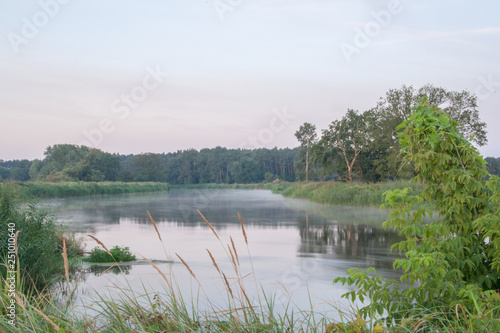 Rogalin Landscape Park - calm Warta river in mist before sunrise