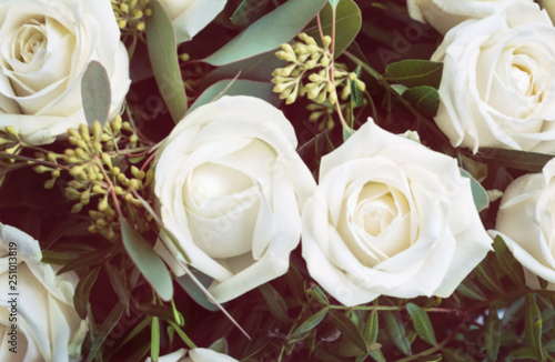 soft focus for background. Flowers gentle white rose.