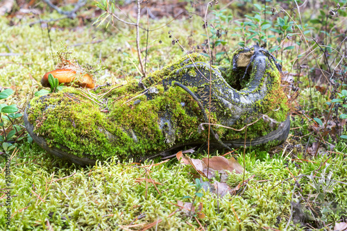 Old shoe overgrown with moss in the forest. Environmental problems, Environmental Pollution. concept of ecology and environmental protection