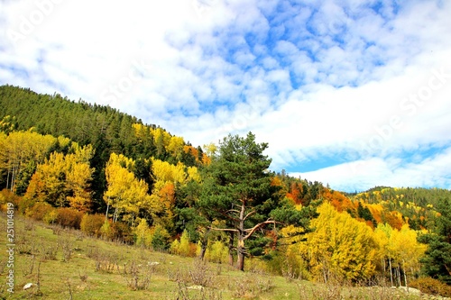 autumn landscape 