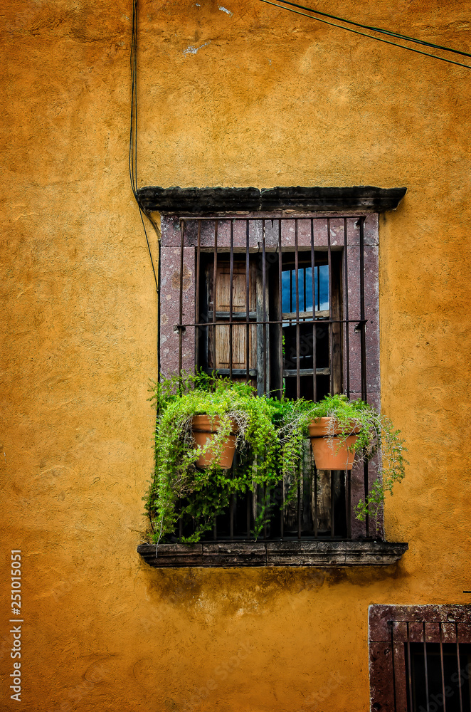 Window in San Miguel