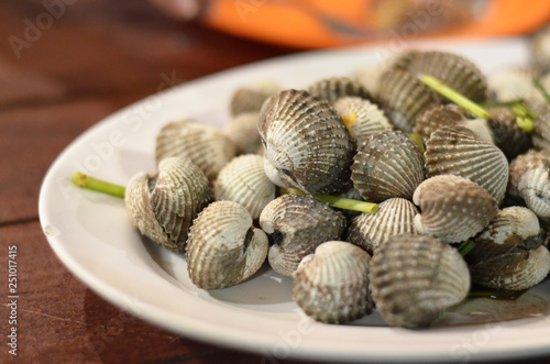  Cockles in a white dish