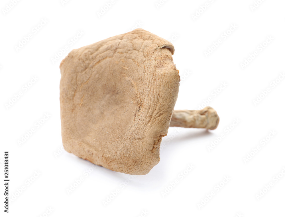 Dried aromatic chanterelle mushroom isolated on white Dried aromatic chanterelle mushroom isolated on white