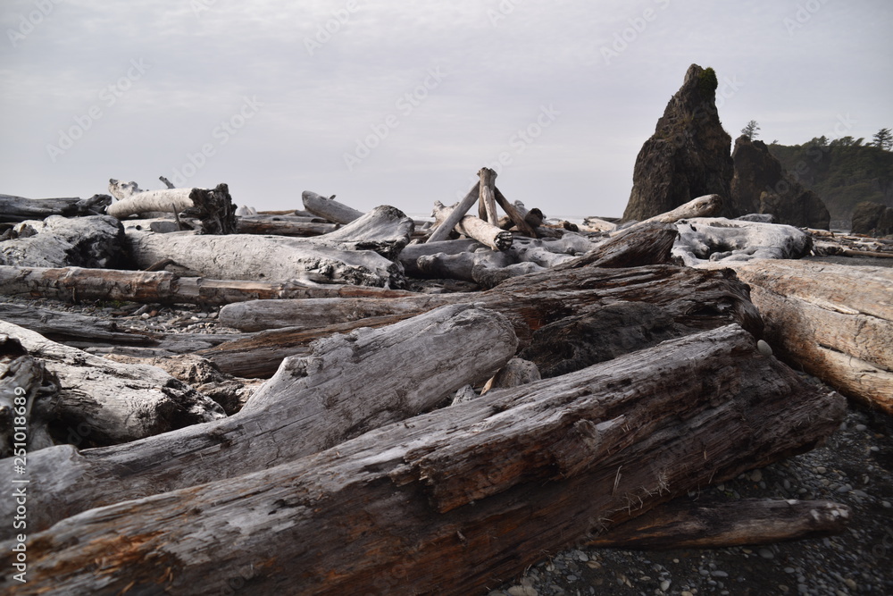 Olympic National Park, Washington state. U.S.A. October 17, 2017. Ruby Beach. Olympic National Park, Washington state. U.S.A. October 17, 2017. Ruby Beach.