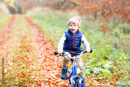 Little kid boy in colorful warm clothes in autumn forest park driving bicycle. Active child cycling on sunny fall day in nature. Safety, sports, leisure with kids concept. Casual fashion for children.