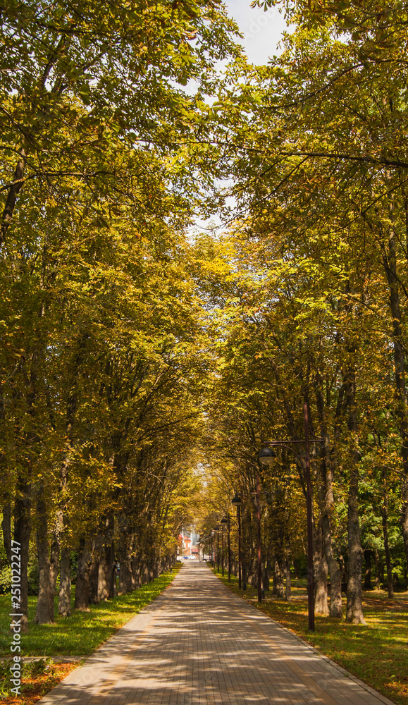 autumn in the park