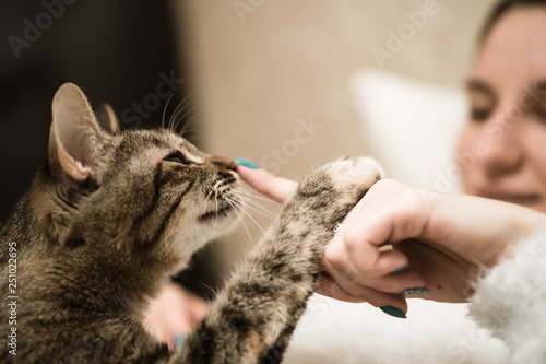 The cat sniffs the finger of its mistress