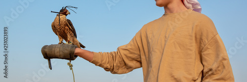 Tourist holding a falcon with a leather hood. Falconry show in the desert near Dubai, United Arab Emirates