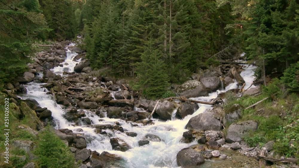 View river scenes in forest, national park Dombai, Caucasus, Russia. Summer landscape, sunshine weather and sunny day View river scenes in forest, national park Dombai, Caucasus, Russia. Summer landscape, sunshine weather and sunny day