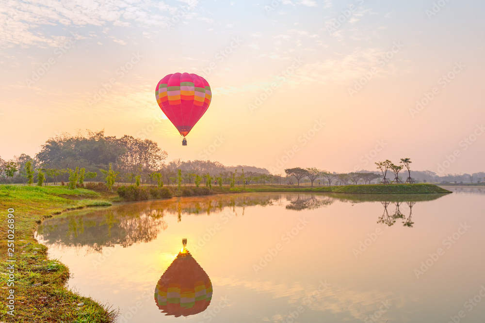Naklejka hot air balloons flying over Flower field with sunrise at Chiang Rai Province, Thailand