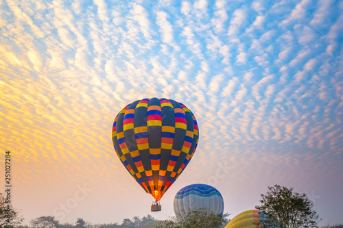 hot air balloons flying over Flower field with sunrise at Chiang Rai Province  Thailand