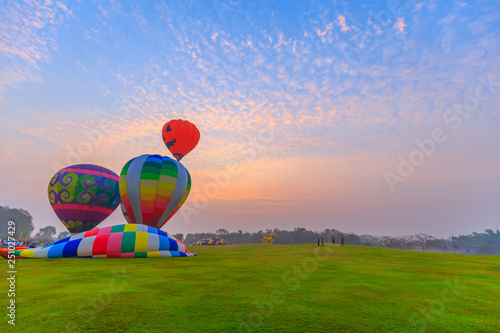 hot air balloons flying over Flower field with sunrise at Chiang Rai Province, Thailand © rbk365