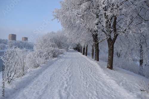 road in winter © Андрей Серга