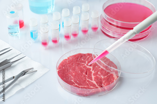 Meat sample in open disposable plastic cell culture dish in modern laboratory, clean meat concept