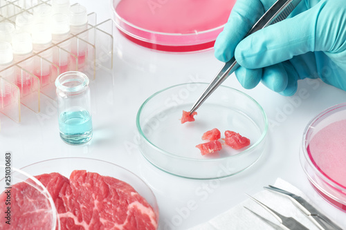 Vászonkép Meat sample in open  disposable plastic cell culture dish in modern laboratory o